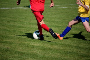 开云体育app-巴黎圣日耳曼绝杀巴萨，博格巴乌龙送礼亚洲杯