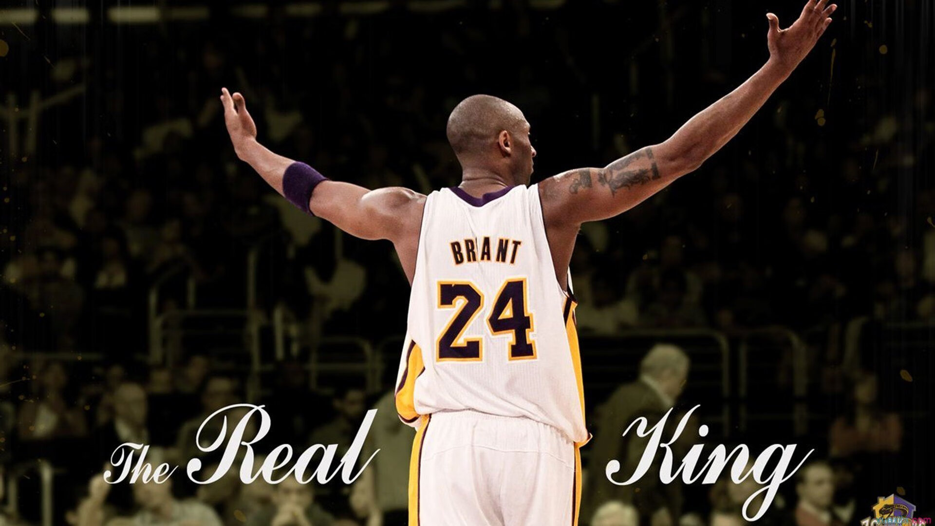 逆袭的剧本，当利拉德照亮夜空，国王用铁血写下新序章