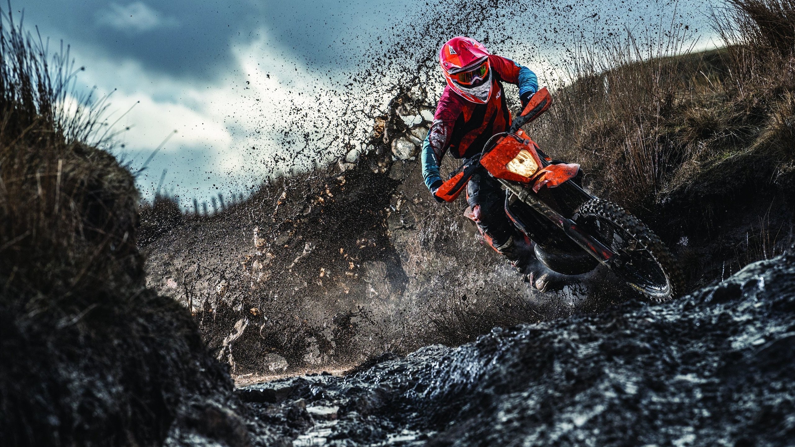 开云平台-夜幕下的红色闪电，范弗利特如何用一场冠军级表演撕碎F1新赛季剧本？